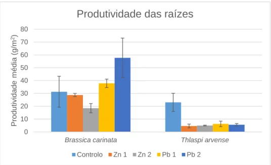 Figura 3.5: Produtividade média (g.m -2 ) das raízes da Brassica carinata e Thlaspi arvense para cada nível de  contaminação de zinco e chumbo