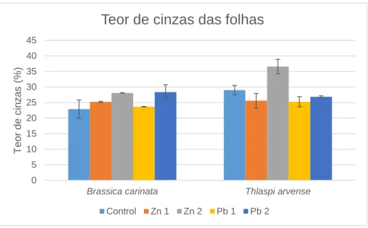 Figura 3.7: Teor de cinzas das folhas (% matéria seca) da Brassica carinata e Thlaspi arvense para cada nível  de contaminação com zinco e chumbo