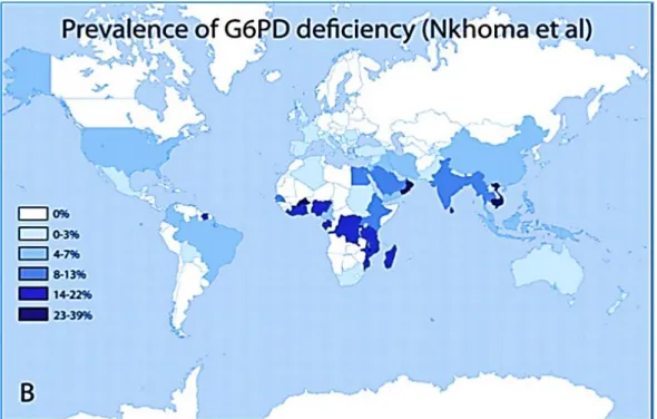 Figura 9. Prevalência global da deficiência em G6PD (retirado Nkhoma et al. 2009).  