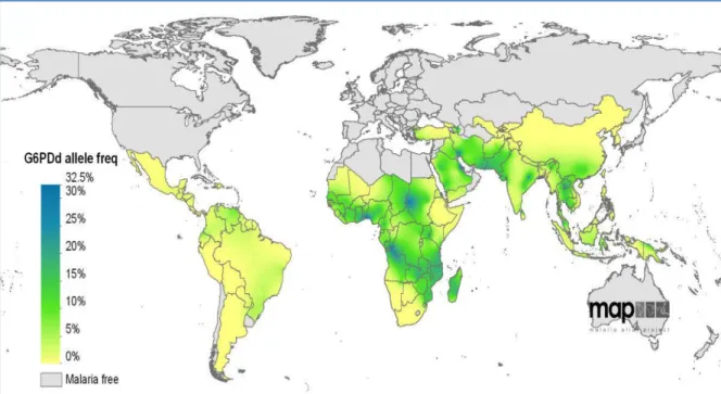 Figura  10.  Mapa  mundial  da  frequência  dos  alelos  G6PD  associados  à  deficiência  enzimática em zonas endémicas de paludismo (von Seidlein et al