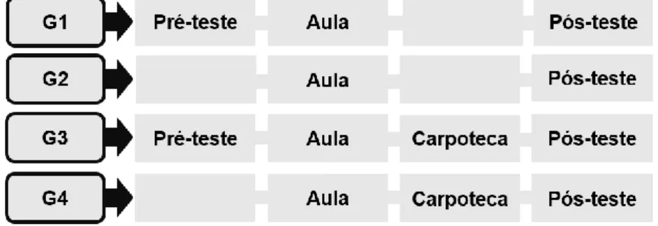 Figura 1. Representação esquemática dos tratamentos aplicados nos 4 grupos. 