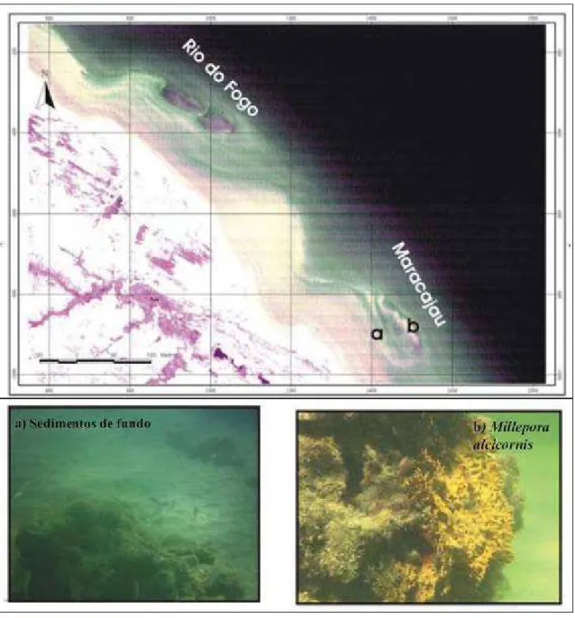 Figura  2.6.  Composição  colorida  em  RGB  4-3-2  Landsat  5-TM  de  02  de  Agosto  de  1998