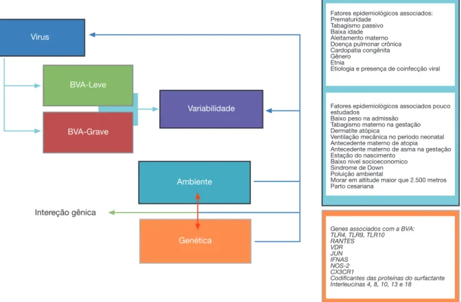 Figura 2   Fatores epidemiológicos e genéticos associados à bronquiolite viral aguda causada pelo vírus sincicial respiratório.