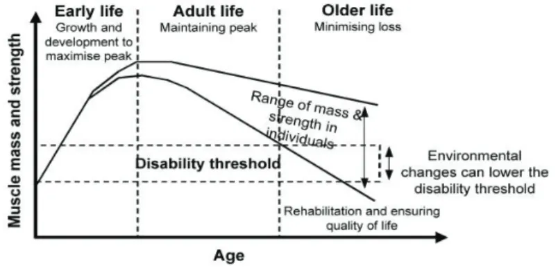 Figura 1. Modelo de curso da vida (Geneva 2000) 