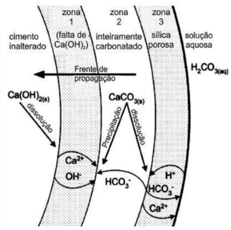 Figura 1 – frentes de carbonatação e bicarbonatação