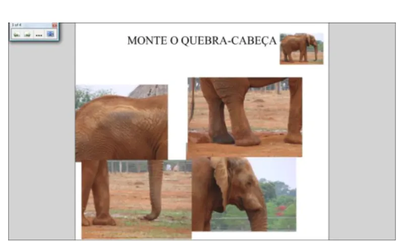 FIGURA 5  –  Classificação dos animais 12