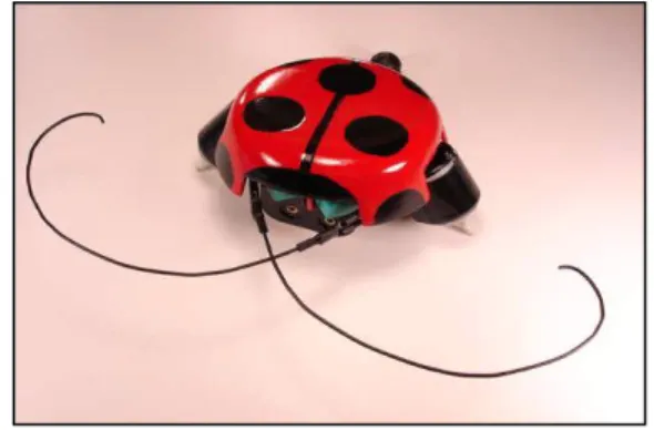 FIGURA 5 – Imagem do Beetlebot referência 23
