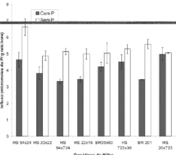 FIGURA 2. Taxa de influxo de fósforo de quatro genótipos de milho ineficientes (HS 64x20, HS 20x22, HS 64x724, HS 22x16) e quatro eficientes para fósforo (BRS 3060, HS 723x36, BR 201, HS 20x723), após três dias de omissão de fósforo na solução nutritiva.