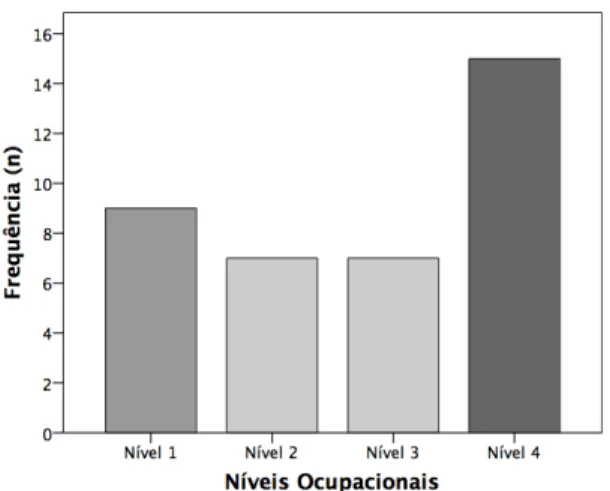 Figura 5. Número de participantes em função do nível ocupacional desempenhado 