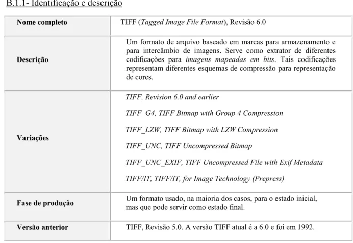 Figura A1: descrição de formatos para imagens estáticas 