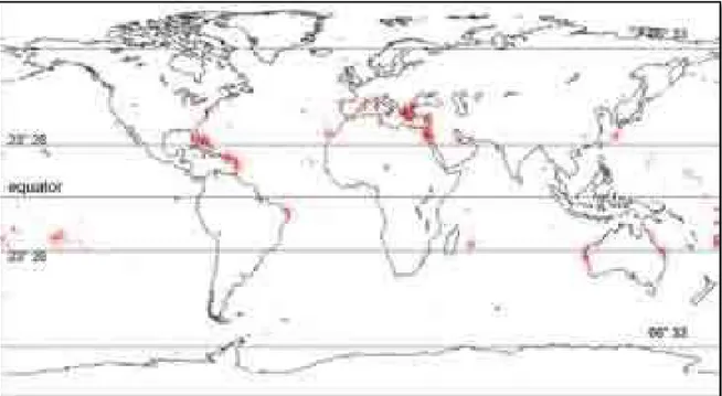Figura 3.6. Mapa de ocorrências de beachrocks ao redor do mundo (Vousdoukas et al. 2007)