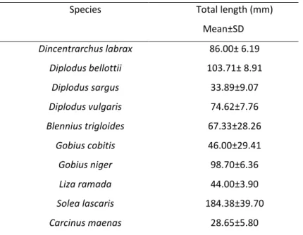 Table 1. Mean total length and standard deviation for each species. 