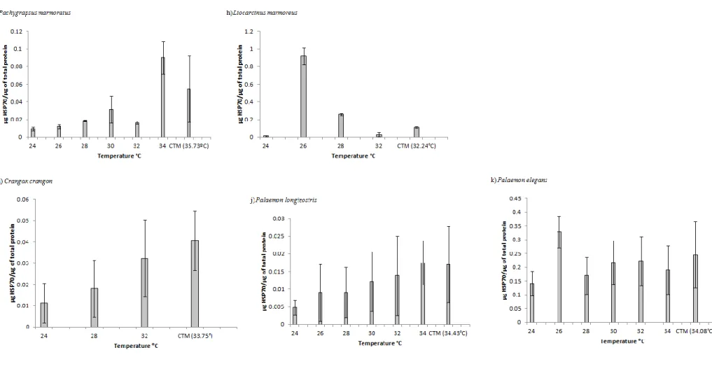 Fig. 1 Levels of HSP70 along a temperature gradient ranging from the mean water temperature in summer to the critical upper thermal limit of each species