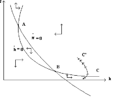 Figure 4. Phase Diagram: The Dynamic of the Economy
