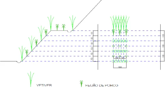 Figura 9: Disposição da Vegetação 