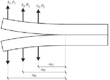 Figura 13 - Representação esquemática da aplicação de diferentes carregamentos em função de  diferentes comprimentos de fenda iniciais num provete DCB [7] 
