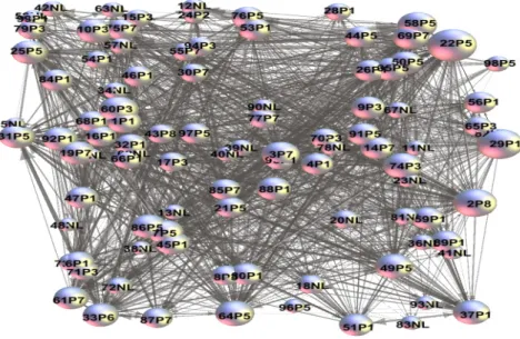 Figura  3  -  Demonstração  da  distribuição  das  conexões  entre  estudantes 