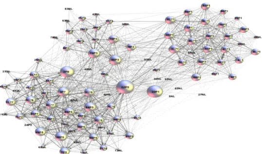 Figura  4  -  A  rede  vista  como  pequenos  agrupamentos  interconectados de uma rede maior 