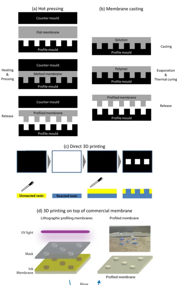 Figure 7. Different possible pathways for preparation of profiled ion exchange membranes: (a) hot  pressing; (b) membrane casting (Adapted from Reference [22]); (c) Direct 3D printing (Reproduced  with permission from Reference [52]