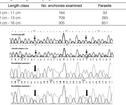 Table 1. No. of analyzed and infected anchovies and relative prevalences in reference to the months of sampling