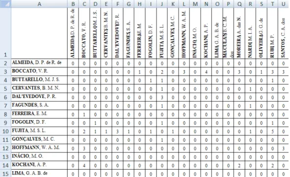 Figura 1: Recorte da matriz quadrada 20x20 para elaboração da rede de colaboração entre os autores