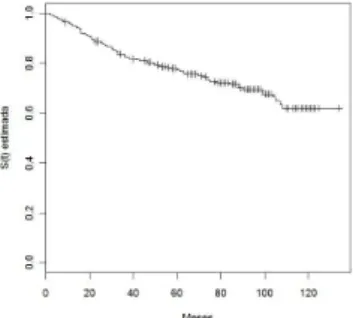 Figura 5.1: Estimativas de Kaplan-Meier para o tempo at´e a recidiva de pacientes com cˆancer de mama- Natal/RN 1991 `a 1995