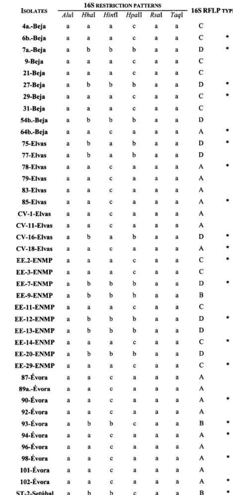 Table  13.  165  rDNA  RFLP  genotypes.  *  denotes  isolates  chosen  for  165  rDNA  sequencing.