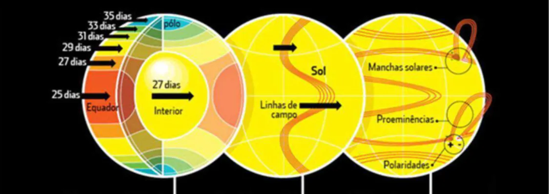 Figura 1.4: A rotação diferencial provoca a distorção das linhas do campo magnético que, com- com-binada à convecção, resultam na atividade solar (manchas, fáculas, erupções)