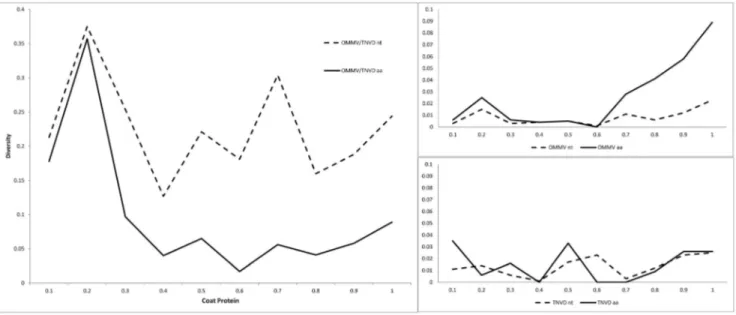 Figure 1. Nucleotide and deduced amino acid diversities along the OMMV and TNV-D CP gene