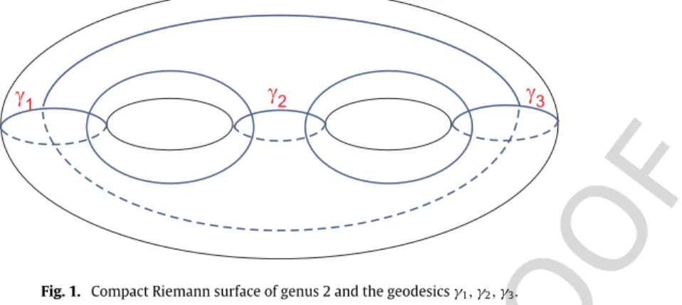 Fig. 1. Compact Riemann surface of genus 2 and the geodesics γ 1 , γ 2 , γ 3 .