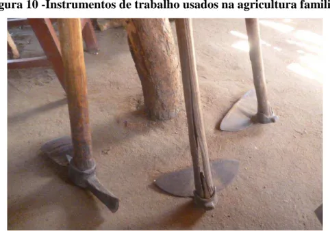 Figura 10 -Instrumentos de trabalho usados na agricultura familiar  