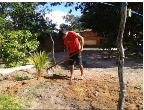 Figura 6: Plantando coco – jovem trabalhando na agricultura.  Fonte: Pesquisa Direta, Canuto Diógenes Saldanha Neto, 2013 