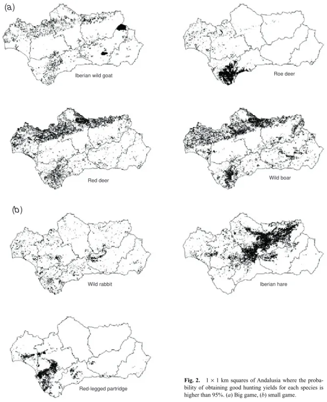 Fig. 2. 1  × 1 km squares of Andalusia where the proba- proba-bility of obtaining good hunting yields for each species is higher than 95%