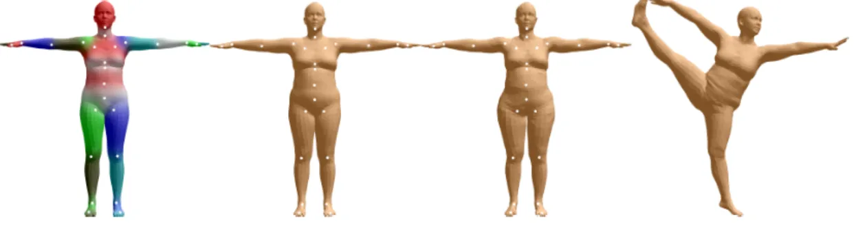Figure 2.3: Exemplification of an SMPL Model from [23].