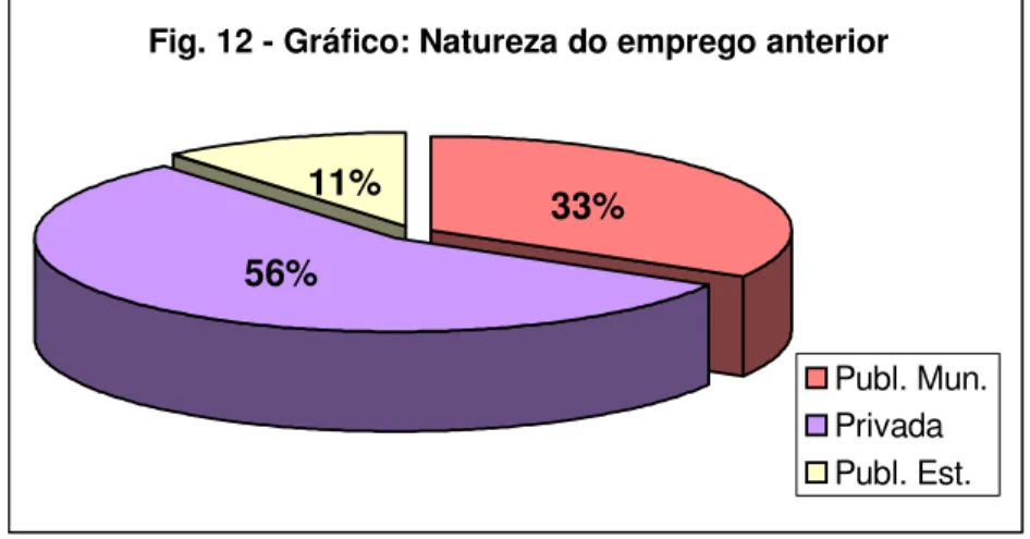 Fig. 12 - Gráfico: Natureza do emprego anterior