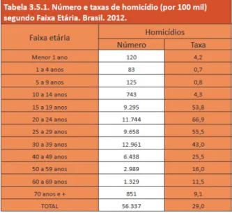 Tabela 2. Ciclo de vida no Brasil (2012). Nota-se que maiores taxas de  homicídios concentram-se na juventude