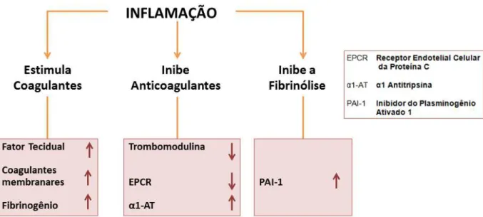 FIGURA 10  – Efeitos da inflamação no sistema de coagulação, mostrando o impacto de mediadores  inflamatórios na regulação da coagulação.fonte:  Adaptado de Esmon (2004)