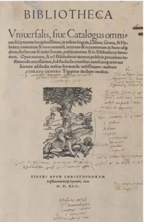 FIGURA 2  –  Bibliotheca Universalis 