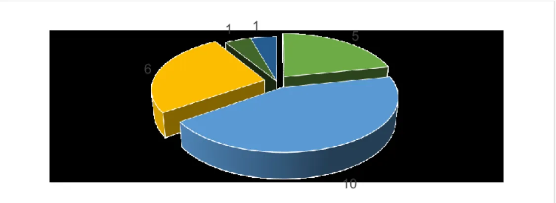 Figura 13 - Consultas realizadas em Dentisteria Operatória por diagnóstico.