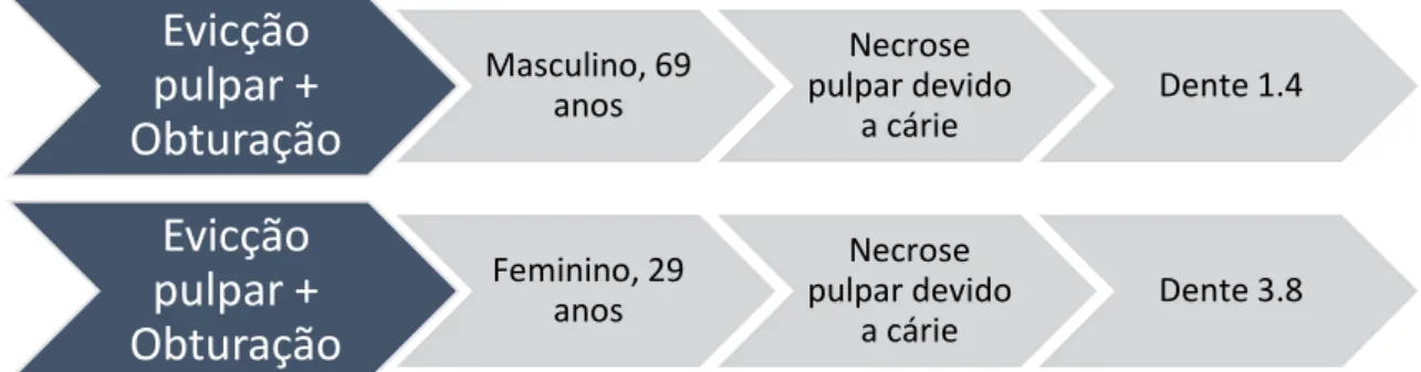 Figura 9. Distribuição dos doentes presentes na consulta de Endodontia em relação ao sexo