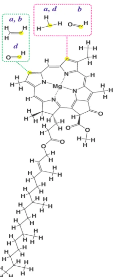 Figura  1.  Estrutura  comum  às  clorofilas  a,  b  e  d.  Fonte:  disponível  em,  http://pt.wikipedia.org/wiki/Clorofila acessado em 26 de julho de 2010
