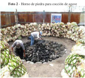 Foto 2 - Horno de piedra para cocción de agave 