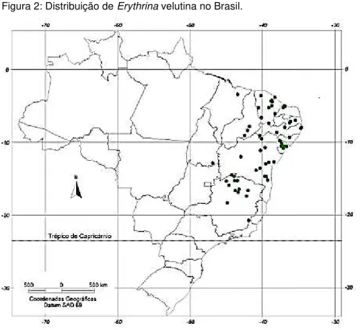 Figura 2: Distribuição de Erythrina velutina no Brasil.