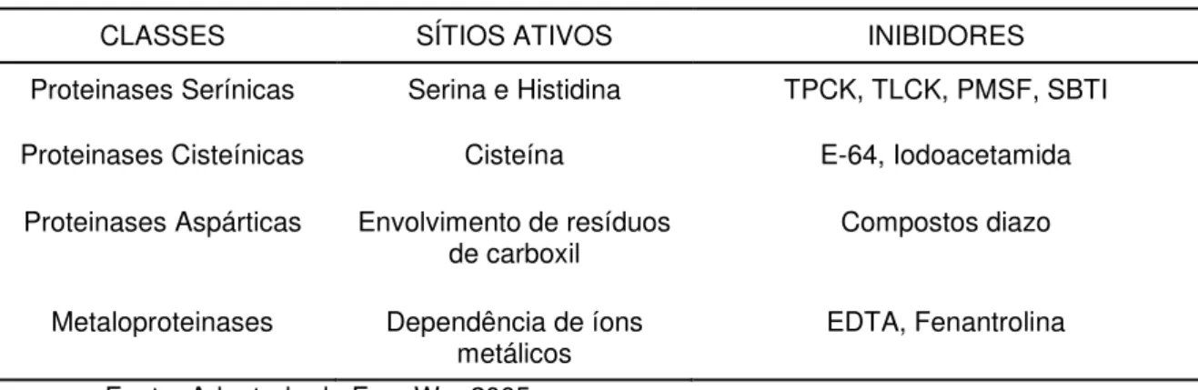 Tabela 1. Proteinases: Classificação, sítios ativos e inibidores específicos  CLASSES  SÍTIOS ATIVOS  INIBIDORES  Proteinases Serínicas  Serina e Histidina  TPCK, TLCK, PMSF, SBTI  Proteinases Cisteínicas  Cisteína  E-64, Iodoacetamida 