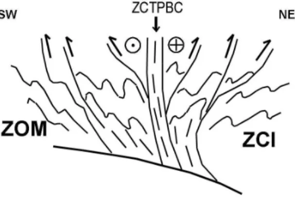 Fig.  2–  Representação  esquemática  da  “flower  structure” 