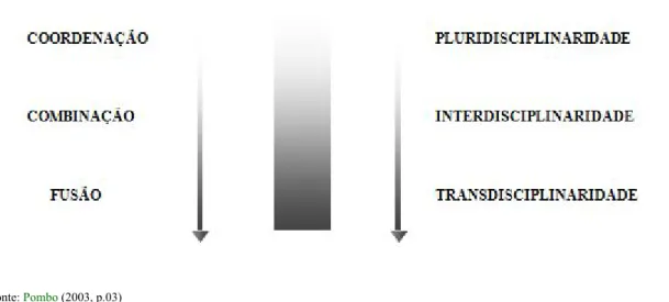 Figura 1: Proposta de compreensão da família dos temas transversais.