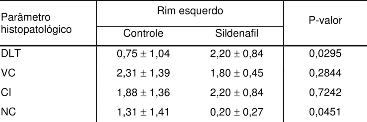 Tabela  3  –  Dados  descritos  e  respectivo  teste  estatístico  das  alterações  histopatológicas no rim esquerdo, comparativos entre o grupo controle e o sildenafil,  com 24h de observação