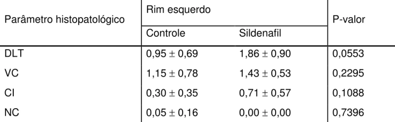 Tabela  4  –  Dados  descritos  e  respectivo  teste  estatístico  para  alterações  histopatológicas  no  rim  esquerdo,  comparando  o  grupo  controle  com  o  sildenafil,  após sete dias de observação