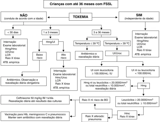 Figura 1 -  Protocolo de atendimento