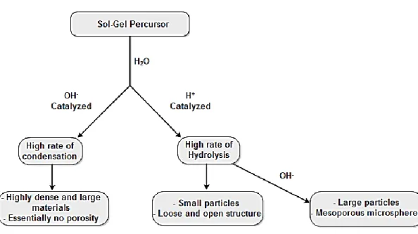 Fig. 19 – Sematic representation of the effect of a catalyst in hydrolysis, condensation and final particle  characteristics 
